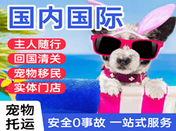 赛乌素航空运输国际宠物托运 【国